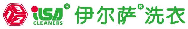 伊尔萨洗衣